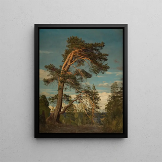 Amaldus Nielsen - Gammel furu verst i Setesdal.webp