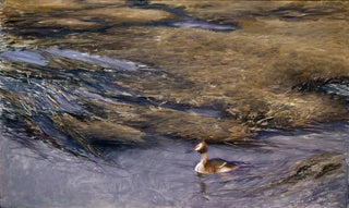 Bruno Liljefors - Grebe.webp