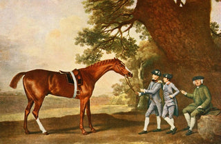 George Stubbs - Eclipse.webp