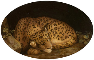 George Stubbs - Sleeping Leopard.webp