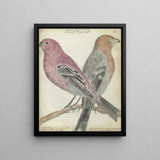 Jan Brandes - Zweedse vogels.webp