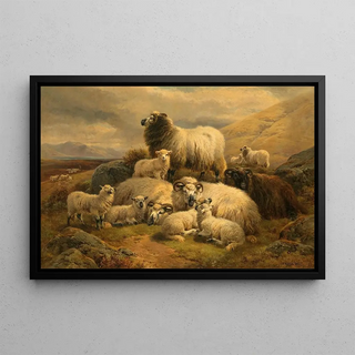 William Watson - Sheep in the Scottish Highlands.webp
